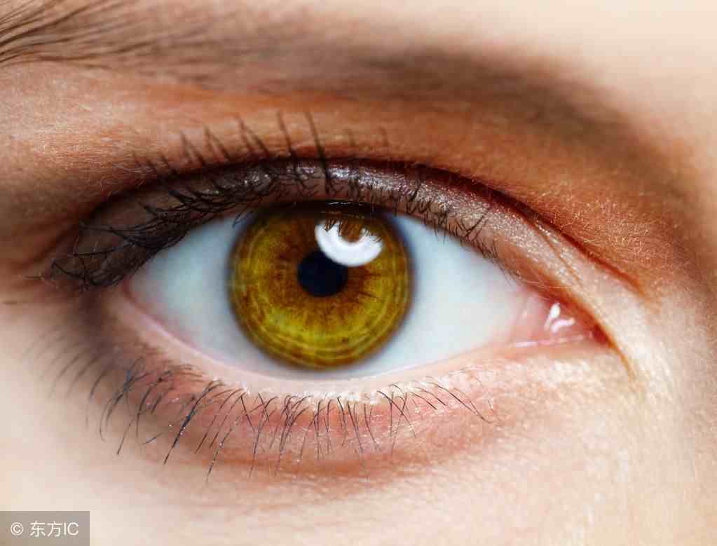 6节眼保健操，长期用眼的人，每天照做，会有不一样的效果！