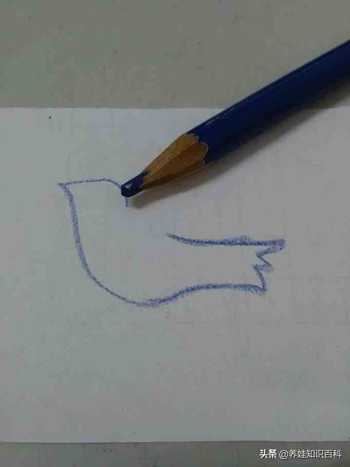 和平鸽的简笔画|和平鸽怎么画？