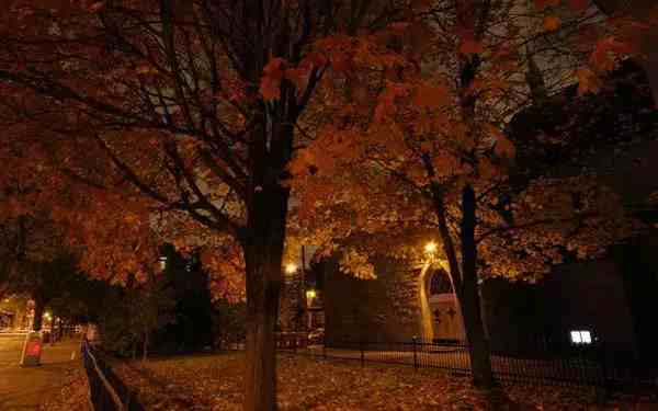 秋风习习，在秋夜中悠然释怀，尽归平淡