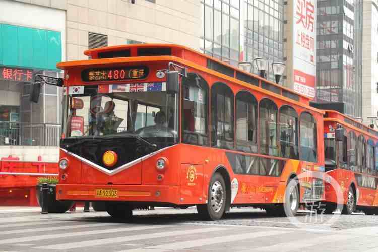 重庆公交“全家福”来了 你坐过哪几款？