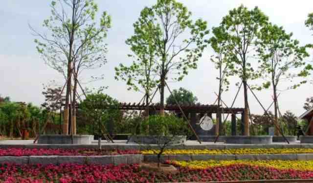 北京这个森林公园，有时还可以坐小火车游览，关键是逛公园还免费