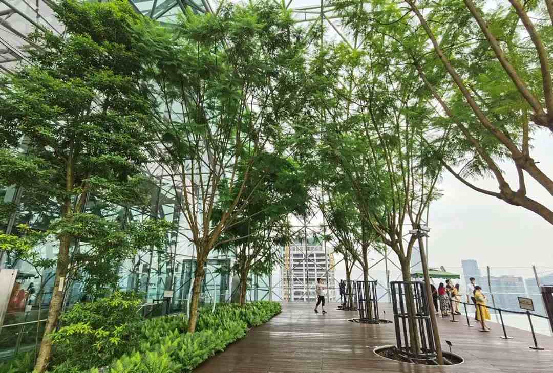 一个250米高空建筑中的森林花园