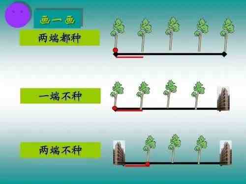 数学广角|数学广角推理知识点