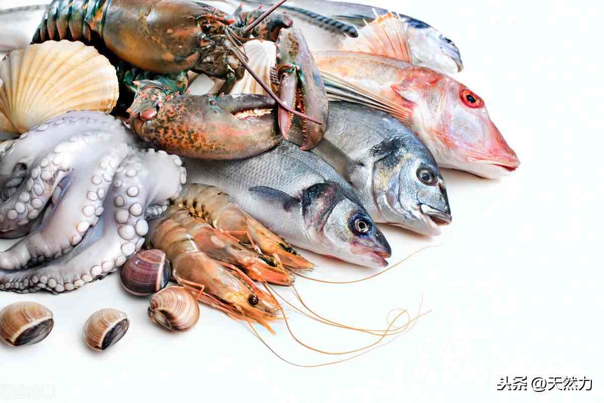 海鲜种类，如何区分，活鲜和冰鲜又是什么意思