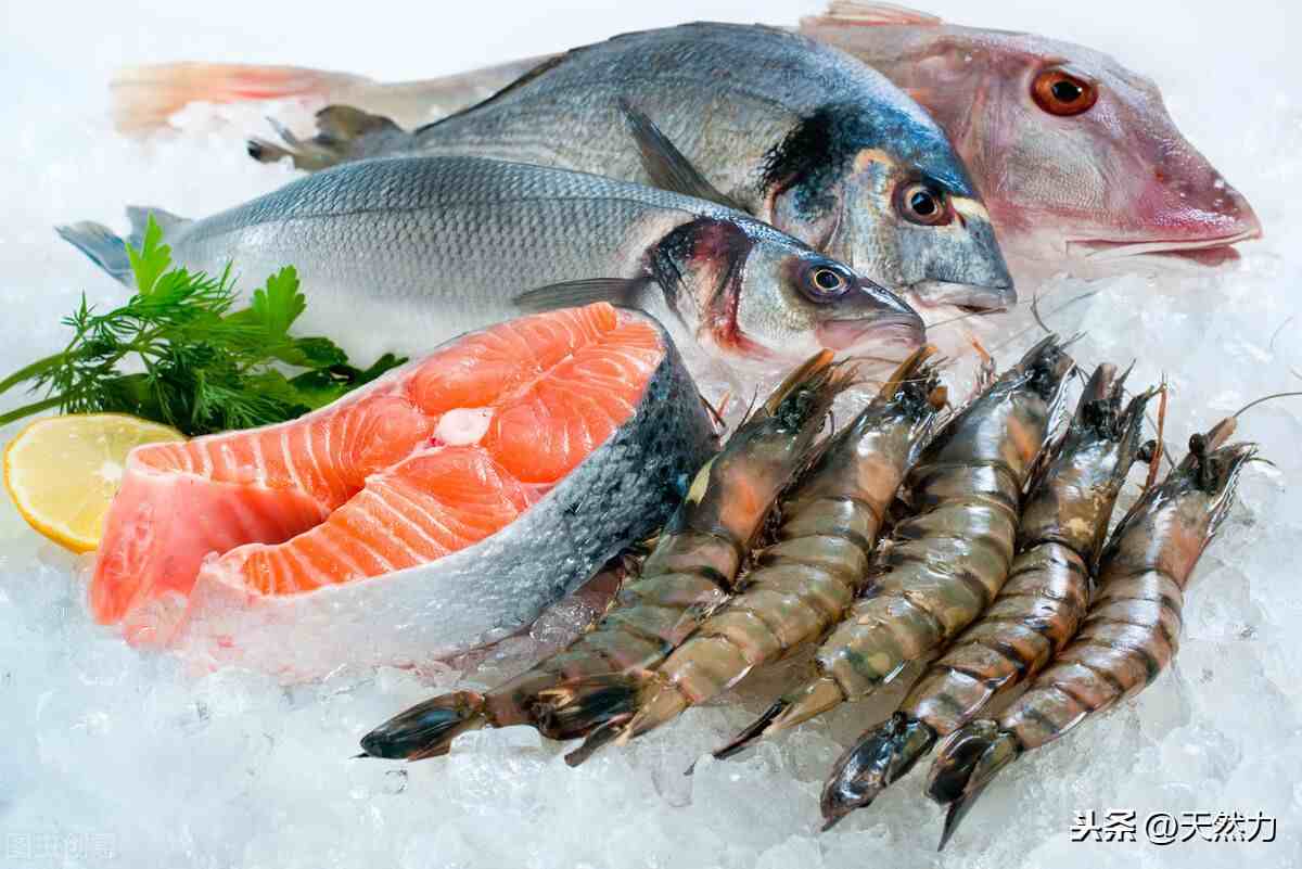 海鲜种类，如何区分，活鲜和冰鲜又是什么意思