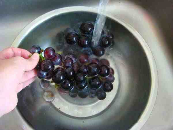 洗葡萄的方法|洗葡萄的小妙招