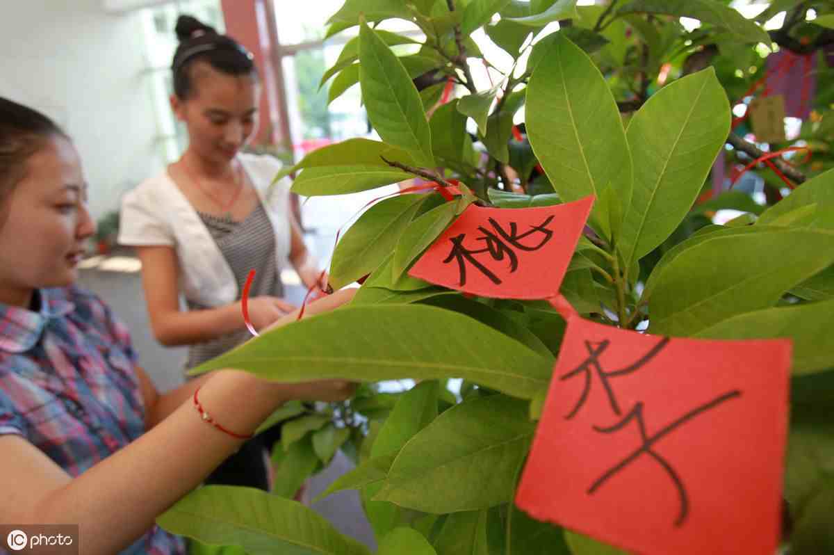 学校师德建设工作计划