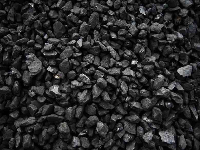 煤的形成|煤炭是怎么形成的呢？