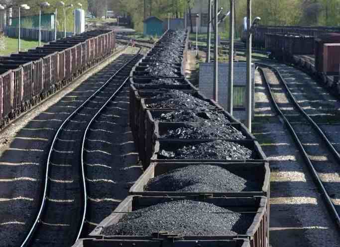 煤的形成|煤炭是怎么形成的呢？