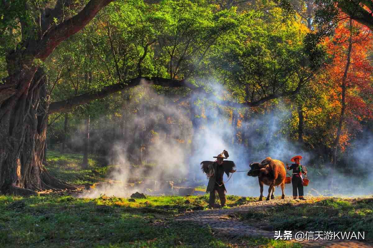 霞浦杨家溪，陶渊明诗中的归园田居，吸引了无数摄影师那颗大榕树