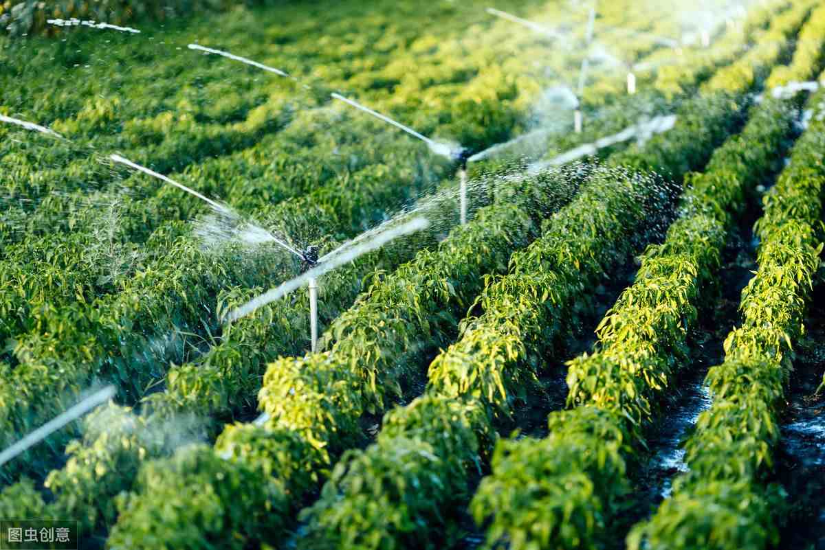 节水灌溉技术|节水灌溉有哪几种