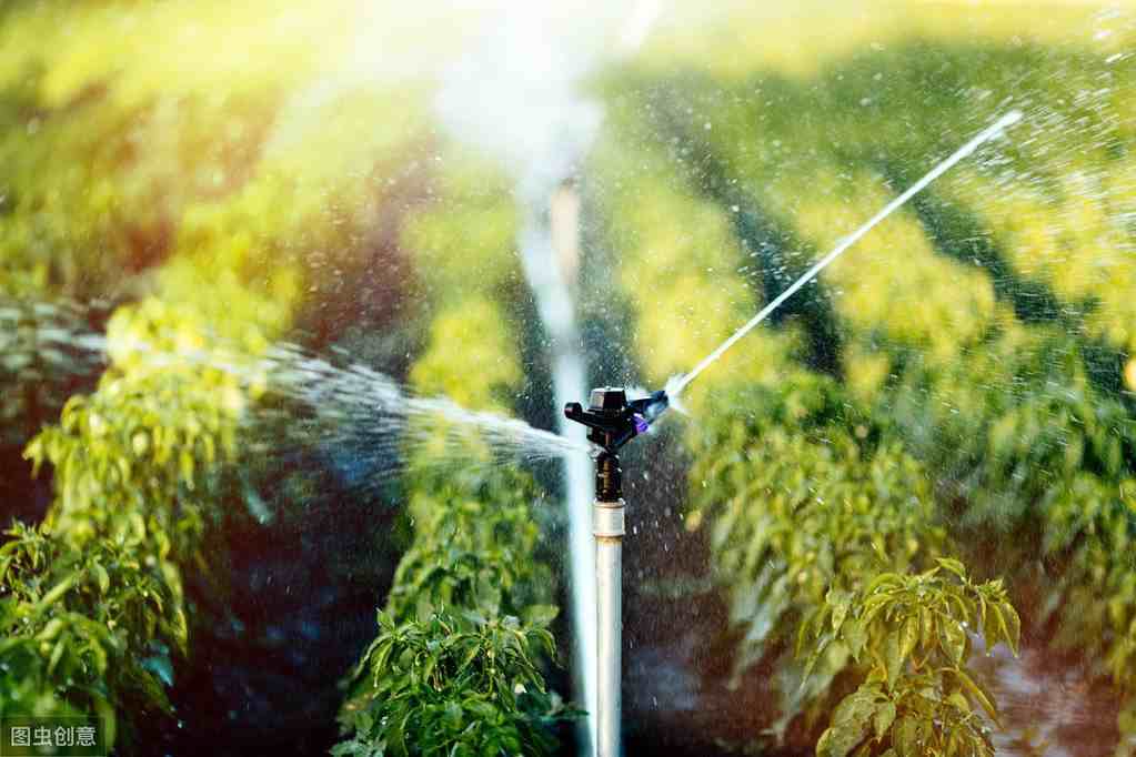 节水灌溉工程技术有哪些？