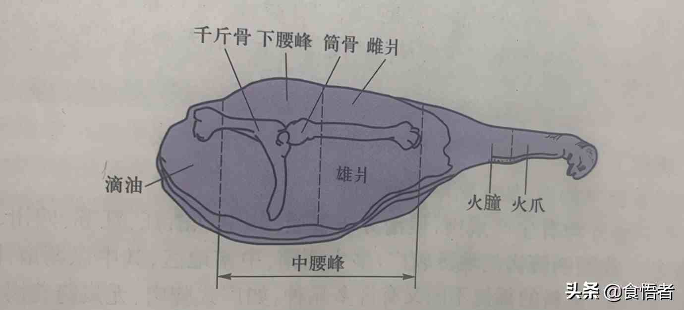 火腿中的南腿|中国火腿的食用方法介绍