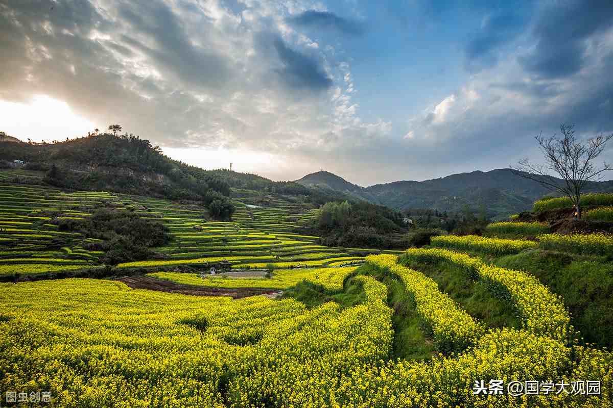 《易经》八卦到底是什么，八卦非常详细的讲解，看完后一生忘不了