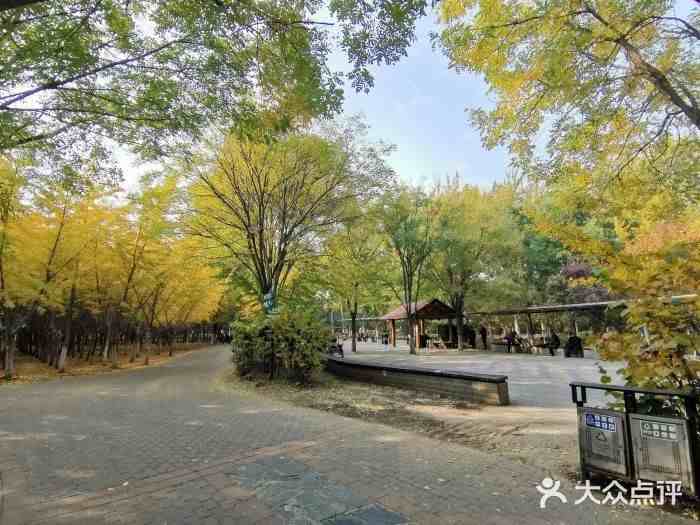 北京有哪些公园可以带宠物去撒欢？
