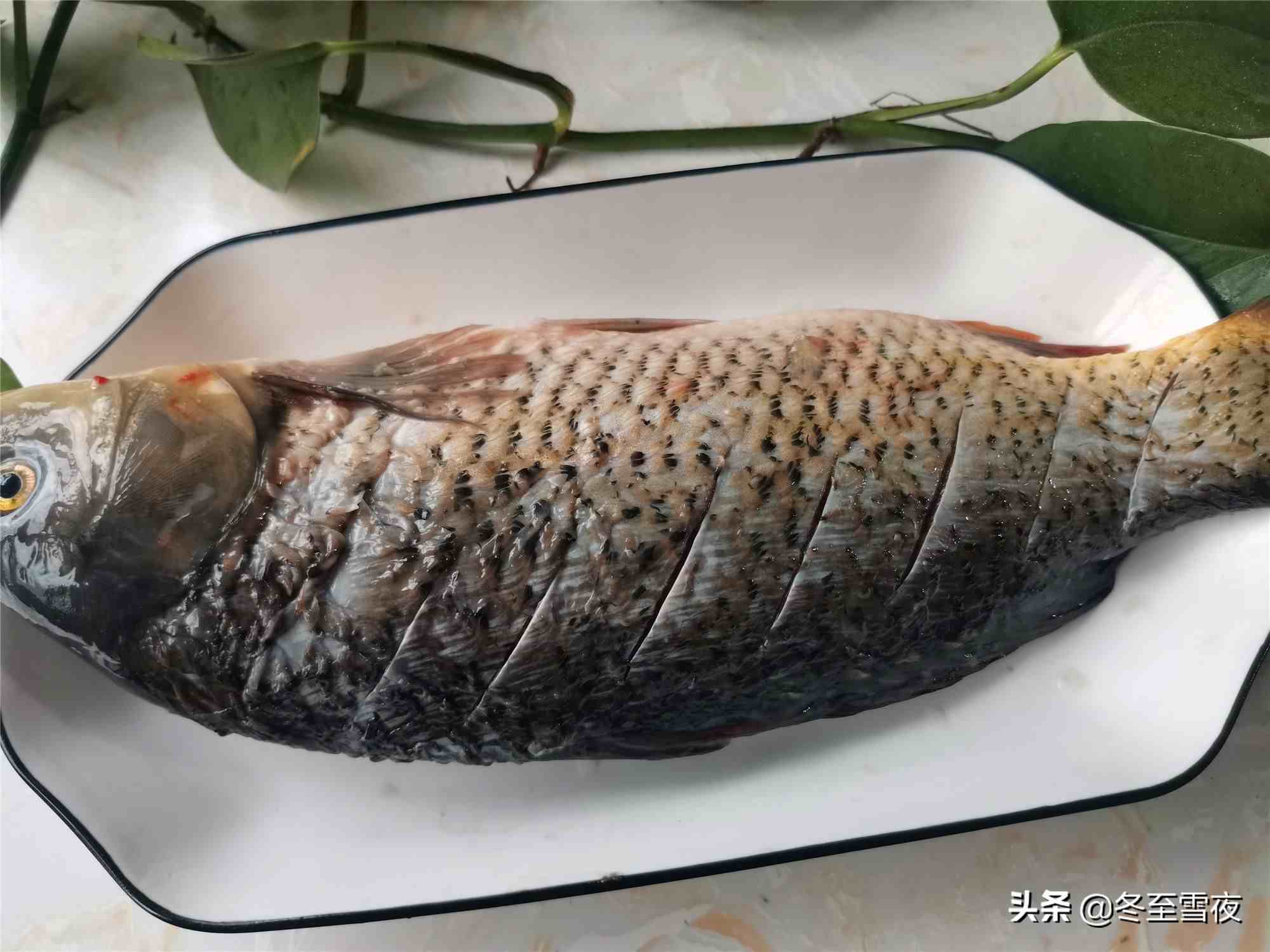 吃东北铁锅炖鱼，不用去餐馆，自己在家做，鲜香味美，好吃下饭