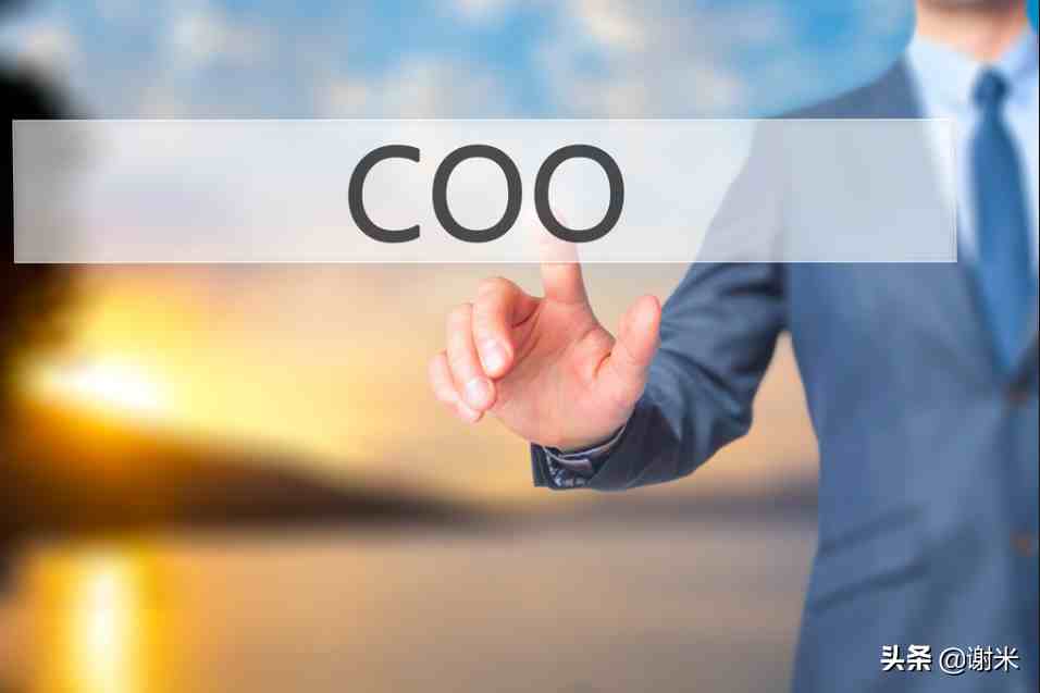 coo是什么职位|ceo cfo coo的区别是什么？