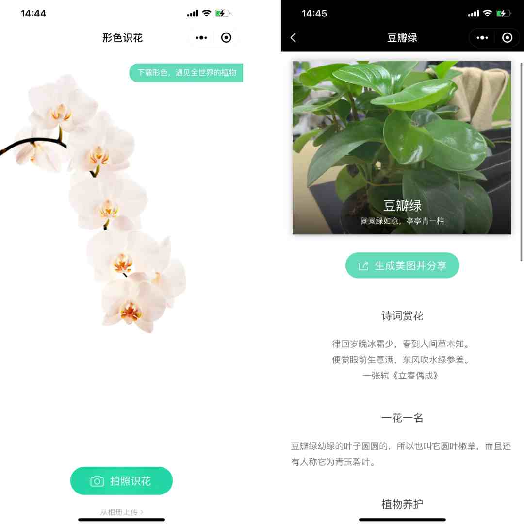 微信手机小程序|8个实用又好玩的微信小程序