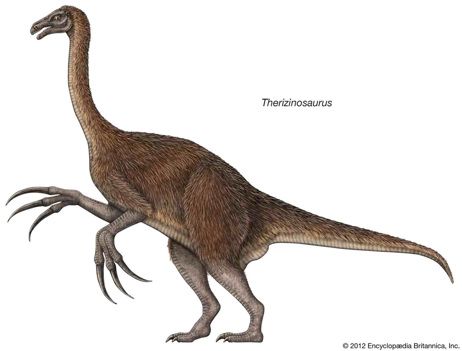 恐龙的资料和图片|远古10大恐龙