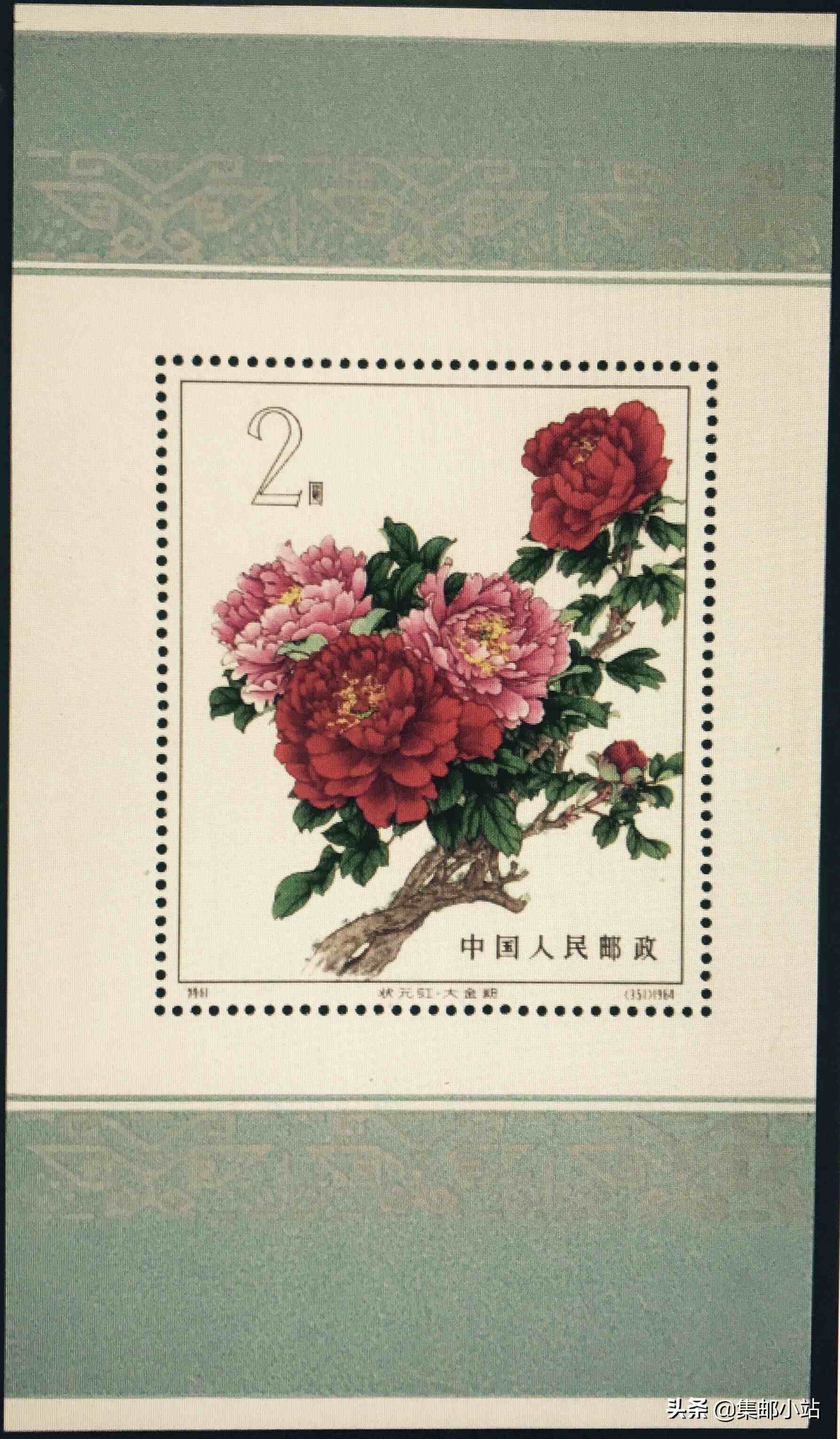 邮票上的花卉汇总，喜欢花的可以收藏了