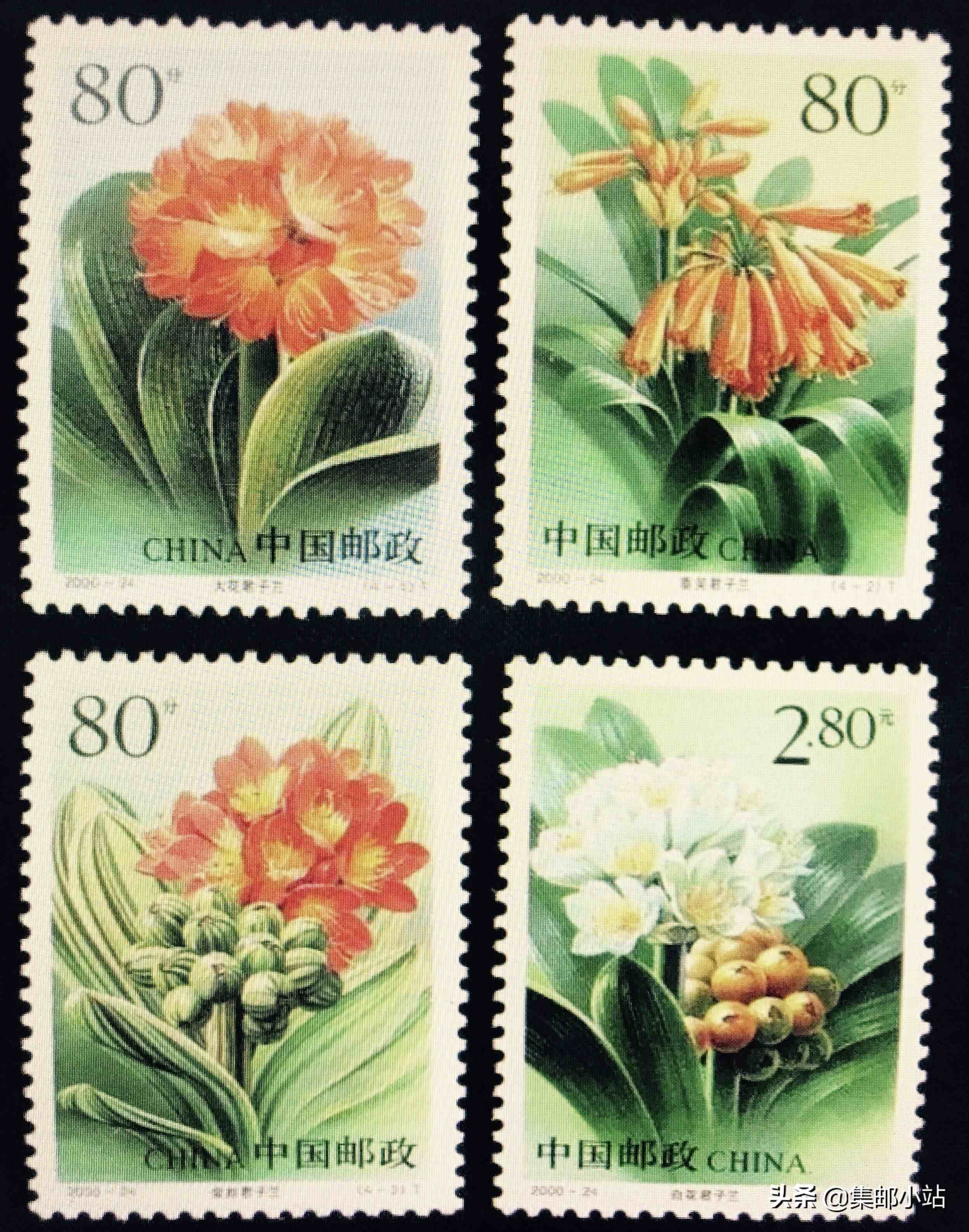 邮票上的花卉汇总，喜欢花的可以收藏了