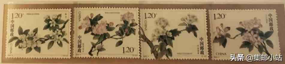 花卉个性化邮票|邮票上的花卉汇总