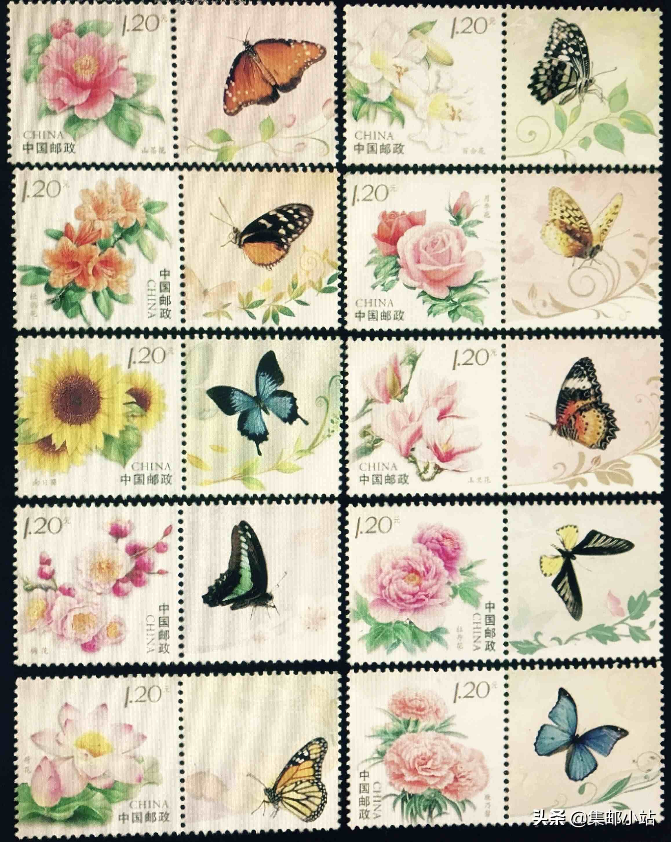 花卉个性化邮票|邮票上的花卉汇总