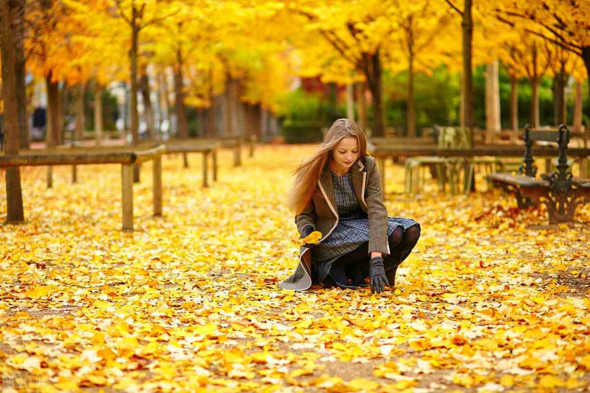 散文：秋景美如画，好想把秋留住