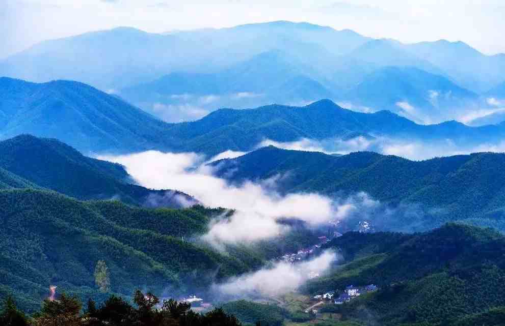江南第一山——莫干山