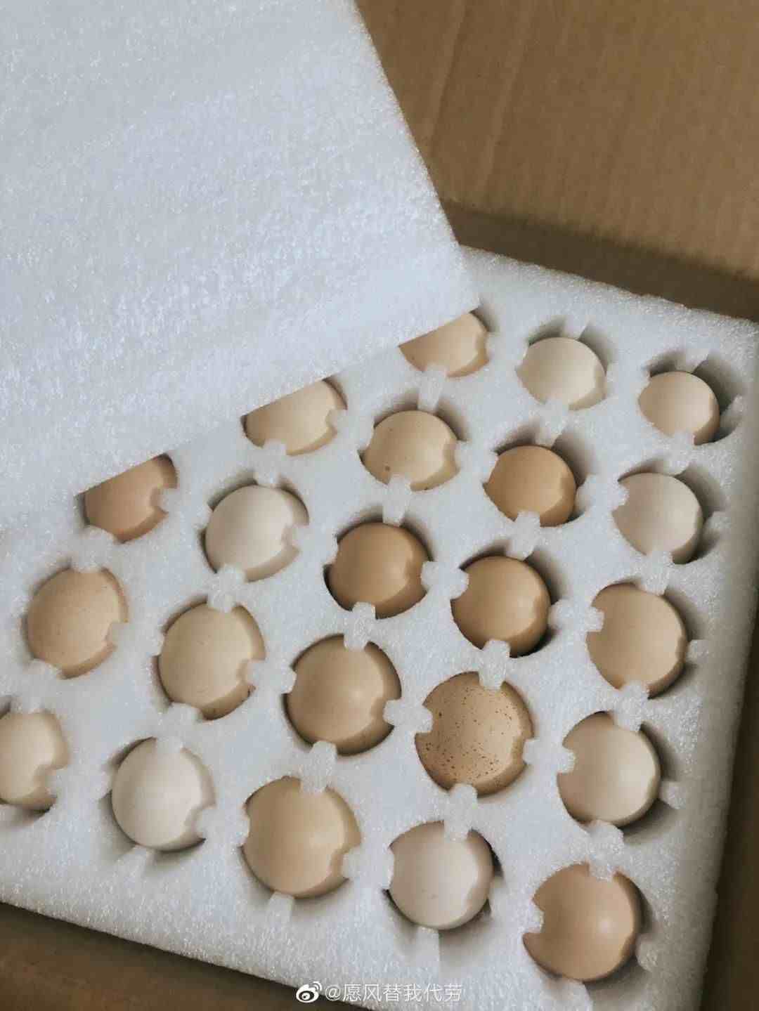 这真的是鸡蛋的包装设计吗？都开始拼命创意了