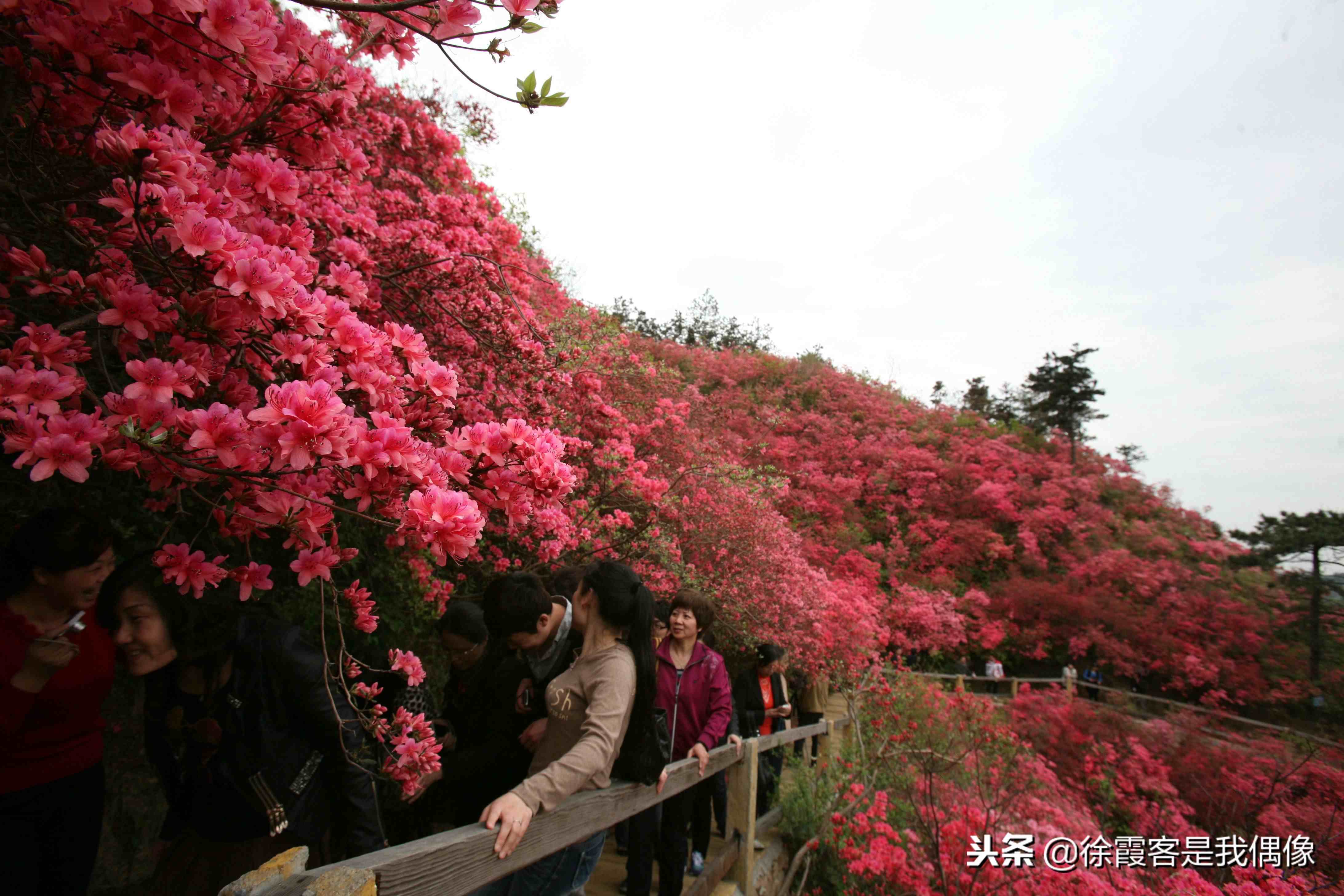 湖北省旅游地图，最美公路，5A级景点位置及简要介绍