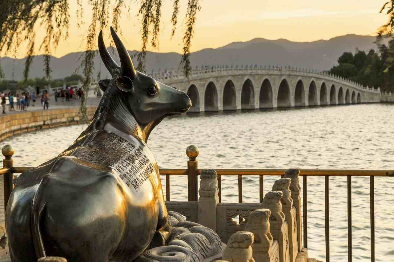 中国著名的“镇水神兽”，动了它们会怎么样？