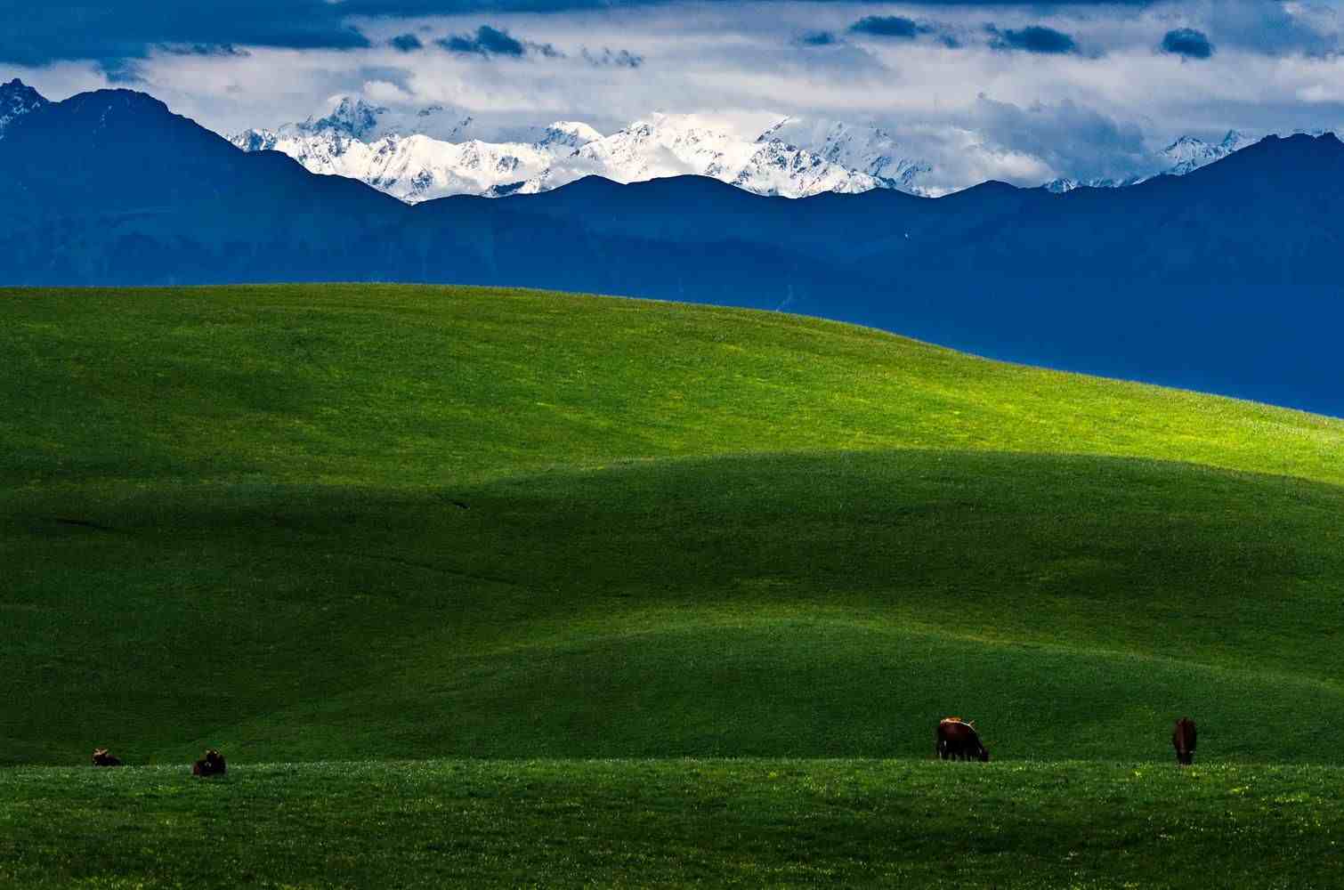 新疆旅游攻略：伊犁哪些地方最值得一去？必须是这八大景区！