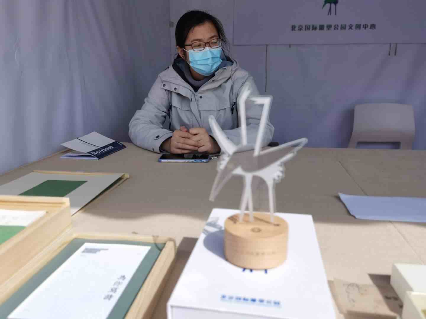 国际雕塑公园玉兰花（北京规模最大玉兰观赏园） 投稿 第7张