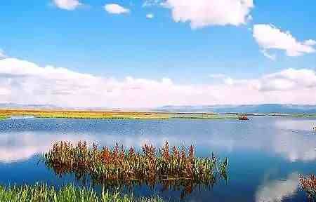 美丽与叹息  中国十大魅力湿地