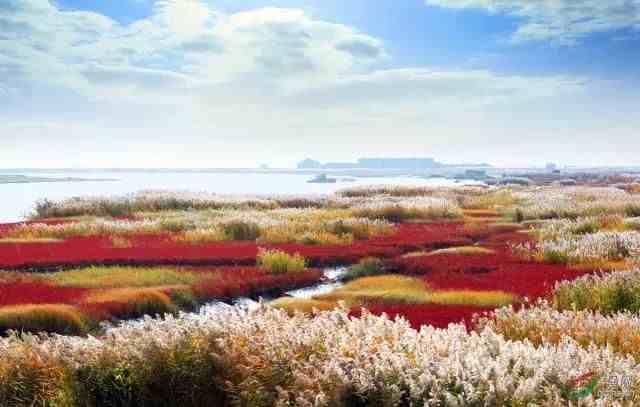 美丽与叹息  中国十大魅力湿地