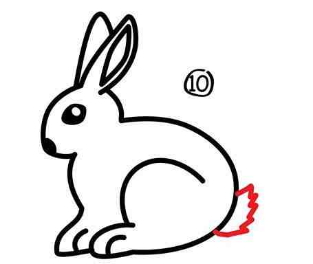 儿童简笔画：小兔子白又白，一个教程学起来（附步骤图）