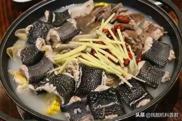 猫肉营养丰富，为什么中国人却从来不吃？