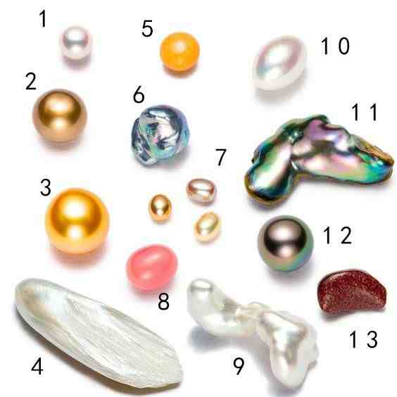 五大方面，教你分辨海水珍珠与淡水珍珠