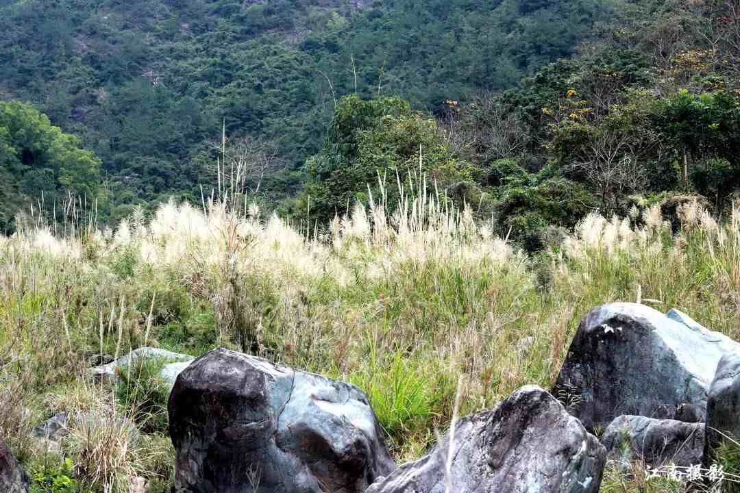 潮州意溪镇石庵古寺