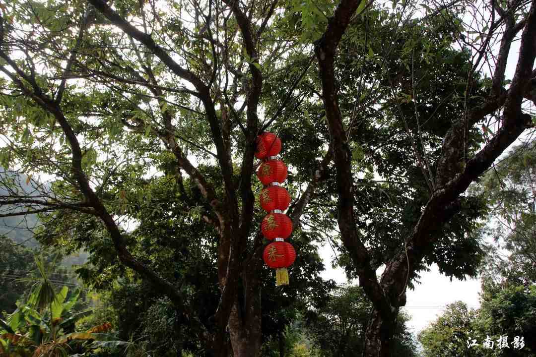 潮州意溪镇石庵古寺