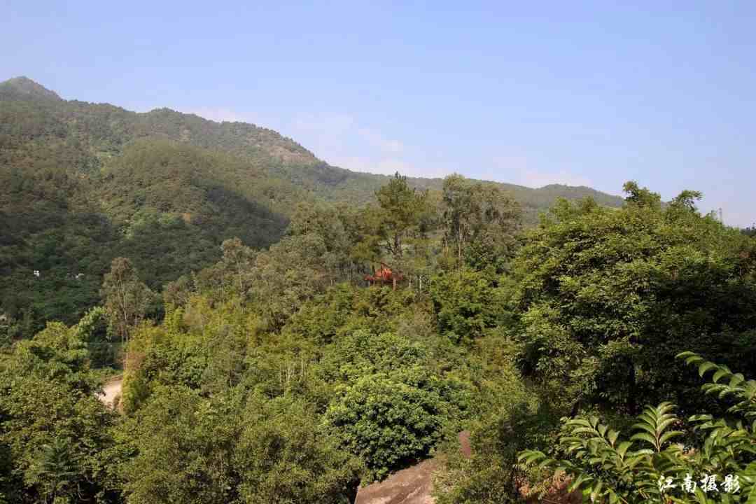 潮州石庵|潮州意溪镇石庵古寺