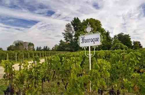 法国圣埃美隆产区去年卖了5个酒庄