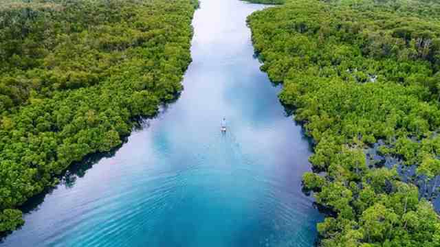 世界第一大河|亚马逊河上为何一座桥梁都没有?