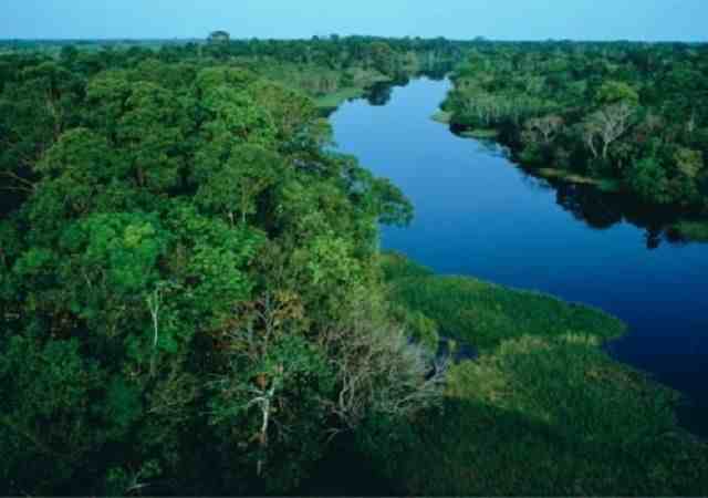 世界第一大河|亚马逊河上为何一座桥梁都没有?