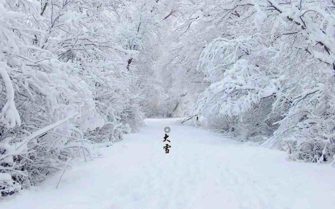 「诗词鉴赏」十首大雪的诗句，在大雪节气里品读诗词