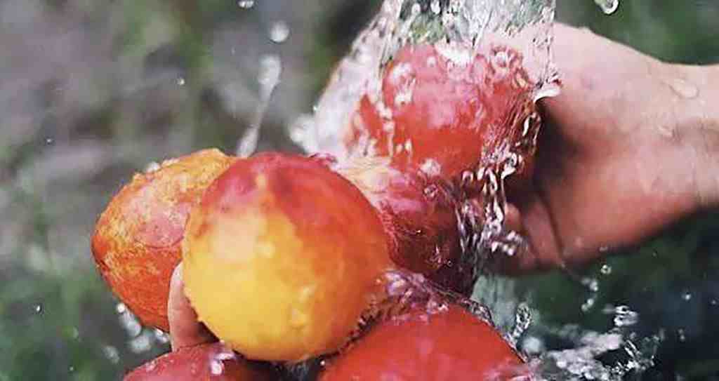 什么水果是碱性的|三伏天，吃这几种碱性水果正当季
