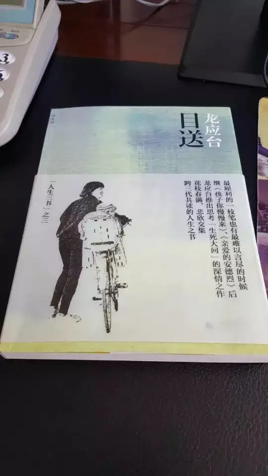 目送读后感|目送读后感800字