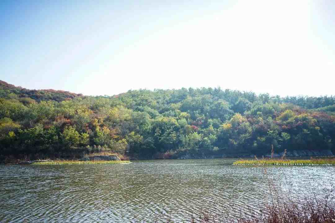 石景山雕塑公园|石景山雕塑公园门票