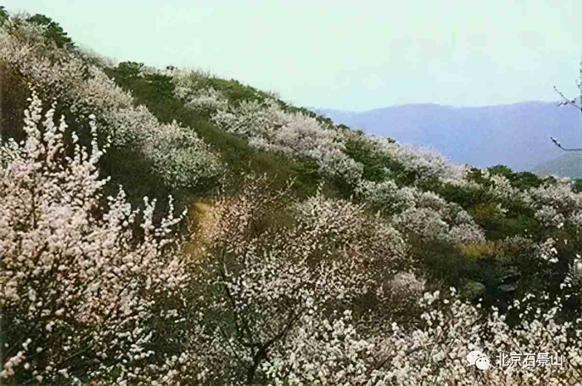 石景山雕塑公园|石景山雕塑公园门票